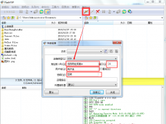 FTP使用教程（以FlashFTP为例）