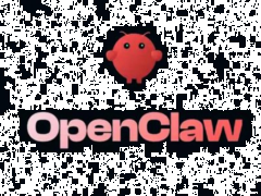 排队安装“龙虾“的和抢冰墩墩的都是同一批人，只会盲目跟风